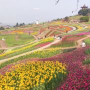 宜宾彩山四季花海攻略-彩山四季花海门票价格多少钱-团购票价预定优惠