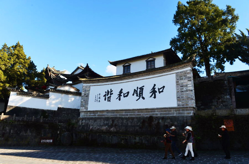 腾冲旅游:银杏村扫黄的季节来了