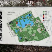 杨浦公园