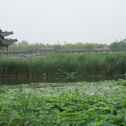 周口龙湖国家湿地公园游玩攻略-龙湖国家湿地公园门票