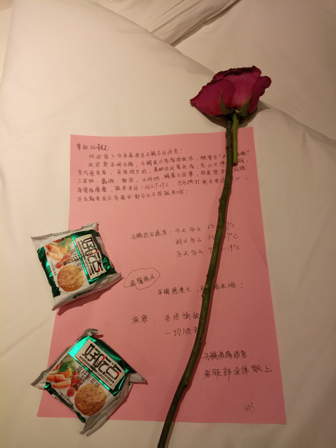 春暖花开攻略南,无锡5日自由行-安庆攻略下江无锡太湖县v攻略游记图片