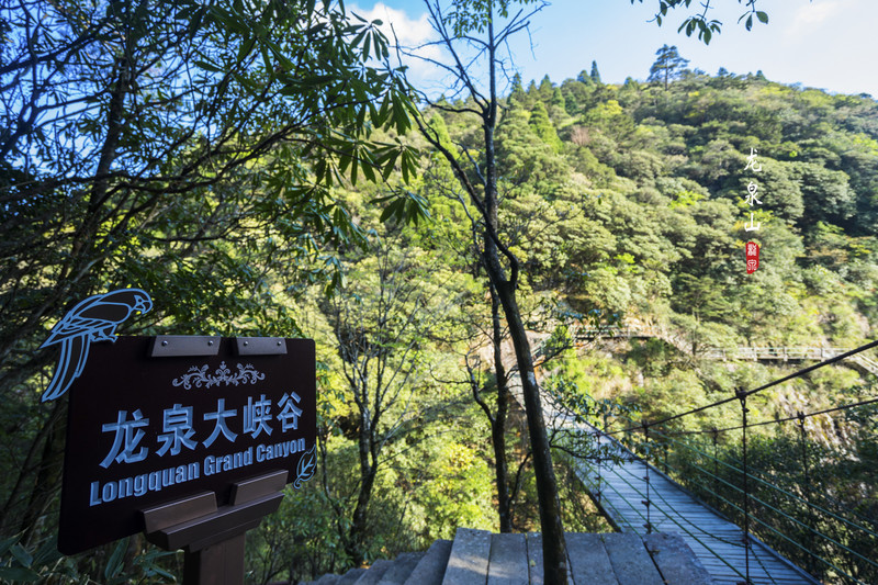 大侠视界|纵情龙泉山水,赏云海奇松 丽水游记攻略【携程攻略】