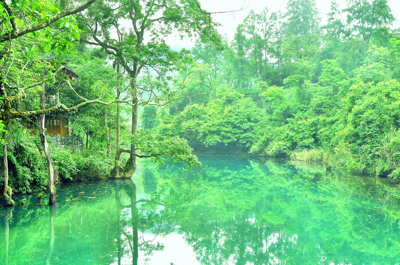 小七孔景区—小七孔古桥周边翠色层层叠叠,野猪林景点就在附近