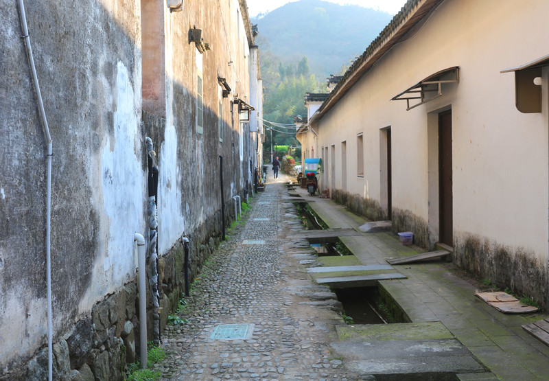 去诸暨看独有的香榧森林公园,住农家乐,过一个观山观树的休闲周末