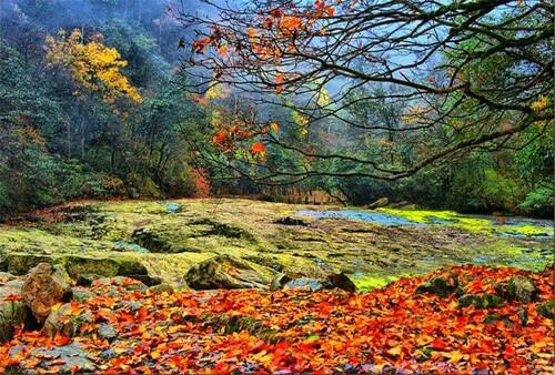 小草坝风景区