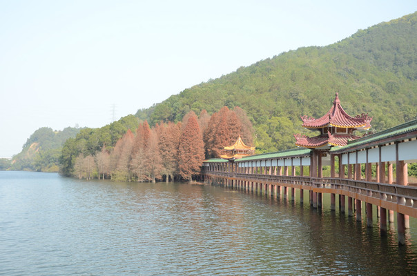泮坑风景区门票_泮坑风景区旅游攻略_梅州泮坑风景区攻略/地址/图片