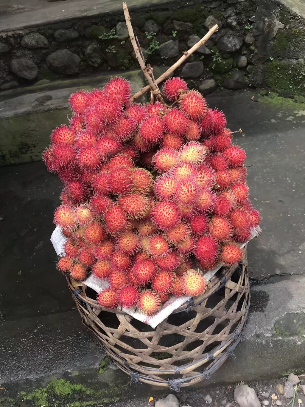 照片描述:红毛丹