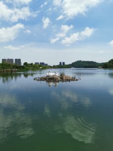 【携程攻略】阳江鸳鸯湖公园图片,阳江鸳鸯湖公园风景