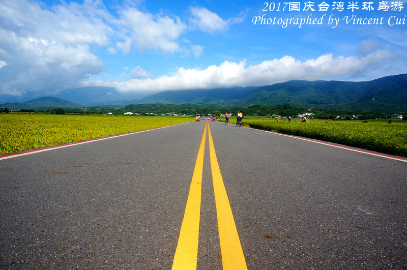 笔直开阔的大道,两旁金的稻穗随风飘扬,美丽的大自然风景一览无遗