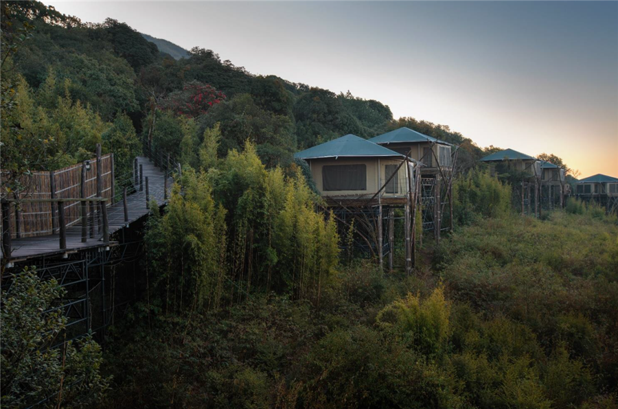 腾冲半山酒店丨康藤·高黎贡帐篷营地:树梢上的自然栖居地