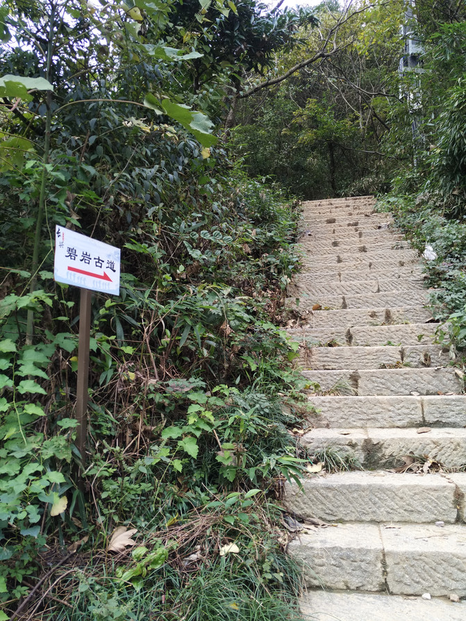 翠竹青山悠闲走 碧岩古道徜徉游 ——德清莫干山,长兴碧岩徒步纪实(三