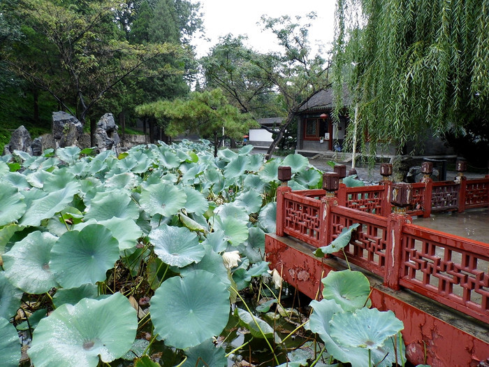 蘅芜苑在大观园的东北角,是整个大观园离水最远的建筑.