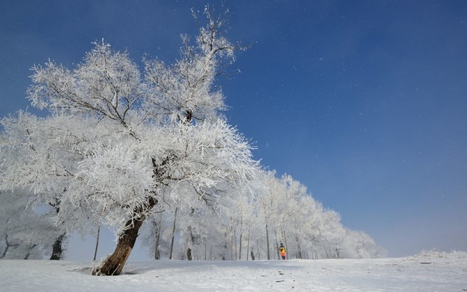 【海量大片冬季篇】我的大东北 雪谷 雪乡 长白山 雾凇岛