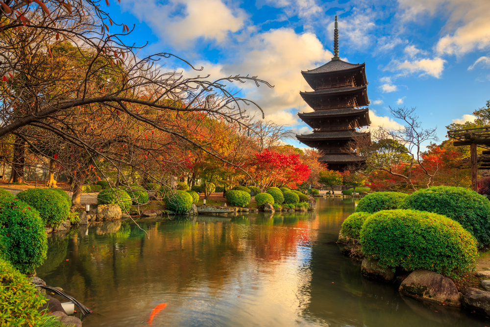 东寺是一位于京都市南区九条钉的寺院.又名教王护国寺.