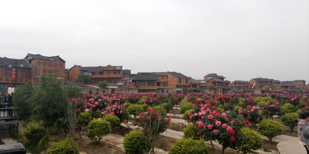 【黔南好花红村(辉岩寨)】黔南好花红村(辉岩寨)旅游