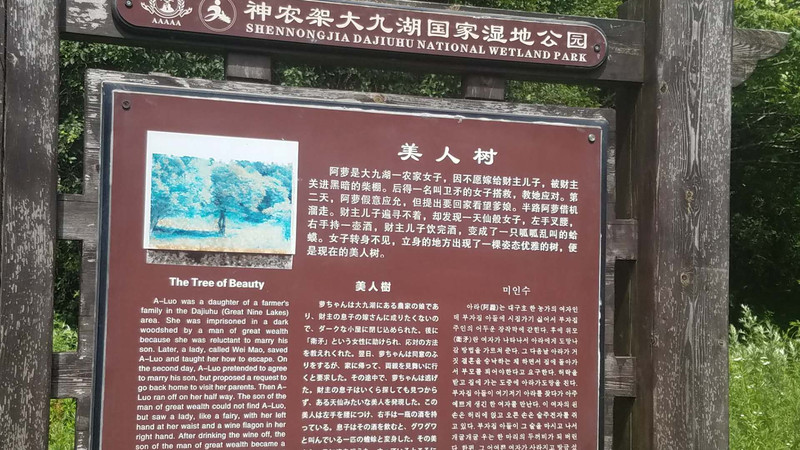 宜昌至神农架、林州6天自驾游详细攻略郑州安阳攻略景点图片