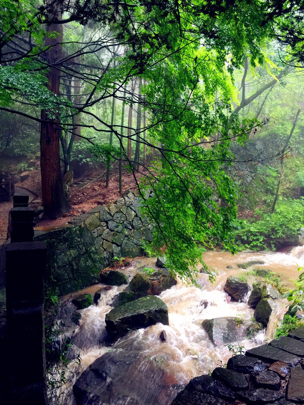 山瑶铃的萤火虫之夏 | 莫干山笔记 - 莫干山游记攻略