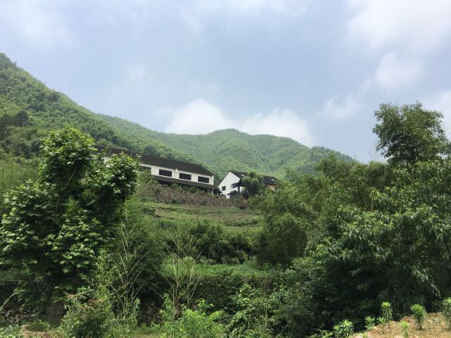 德清莫干山民宿新玩法 ------山田溪茶, 溪上度假 近来,德清民宿火遍全国,据说今年高考有9个省份的试卷都有所涉及。为避免旅途拥堵,一般假日不出游的我,这次破例乘着端午小长假前往一探。朋友介绍说,在东沈村新开了一家取名溪上的度假型民宿式酒店,非常火爆,节假日基本客满.想去,下单必须手快!