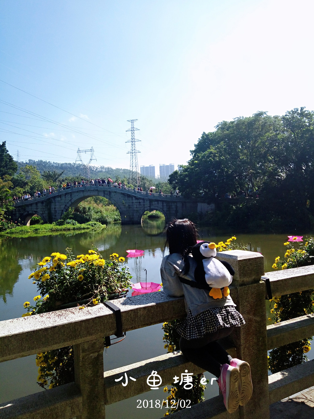 深圳周末游:去东湖公园看菊花展.