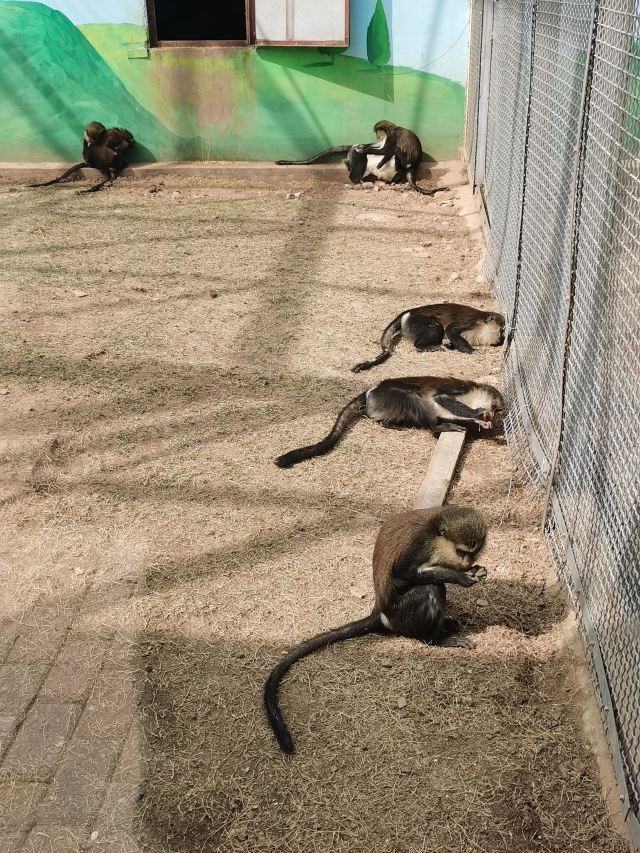 宝山前野生动物园