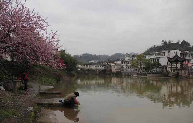 行,自驾,摄影,徒步,小资 作者去了这些地方 歙县 北岸廊桥 北岸村