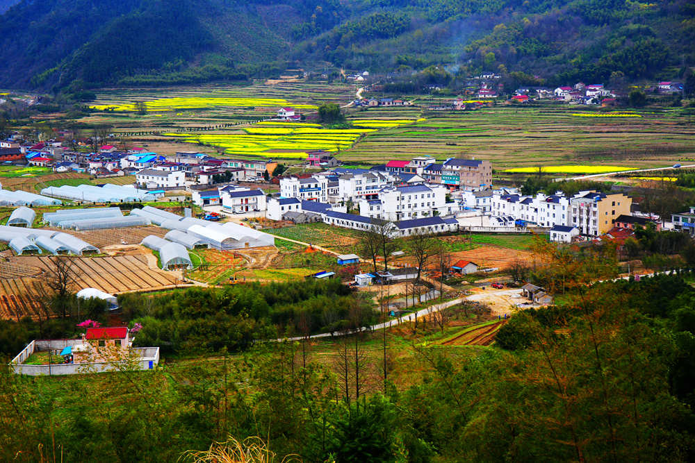 安徽家朋赏油菜花,走皖南川藏线,游查济古镇,观太平湖