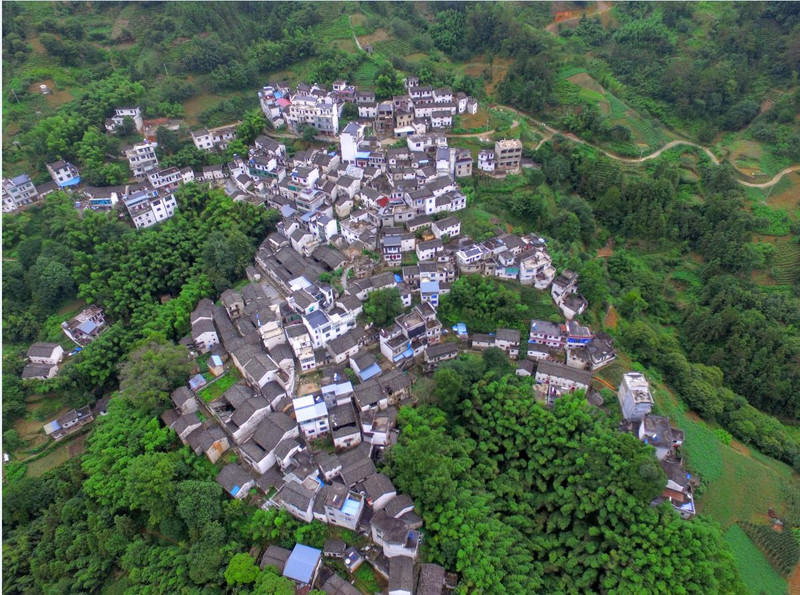 歙县坡山村农家乐避暑攻略(四季海农庄)