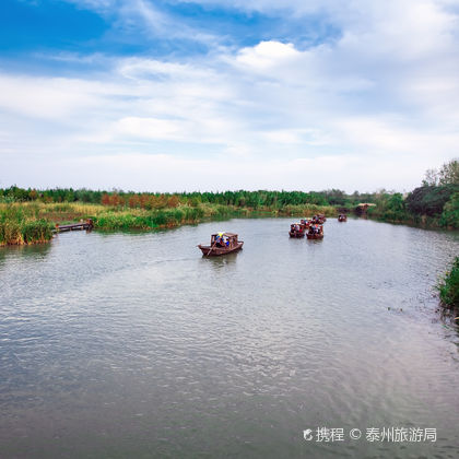溱湖国家湿地公园+溱潼古镇一日游 溱湖国家湿地公园+溱潼古镇一日游