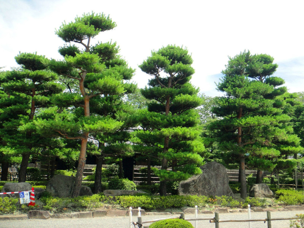 2013夏大阪京都松本奈良井东京散策日和