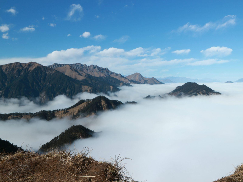 的半山常常大雾迷蒙雨雪纷飞,但当缆车穿破云层,就拨开云雾见青天了