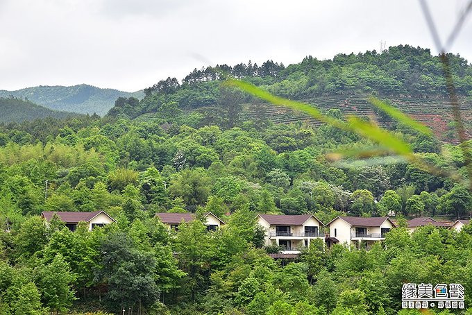 丫山有花海,云海,竹海,书房,民宿等多种风格的养生住宿.