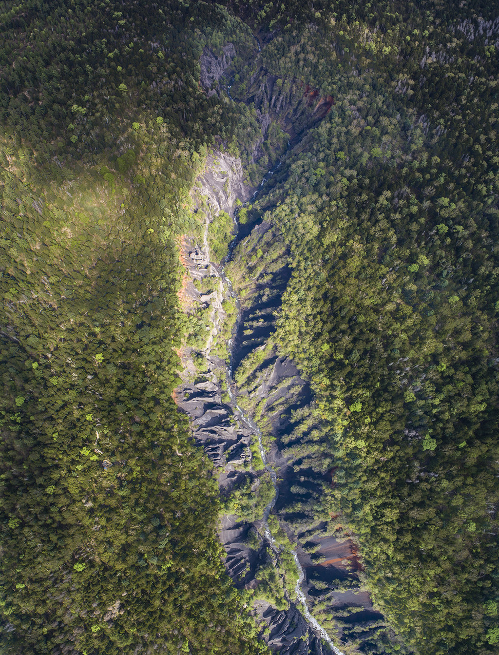 当长白山的风和云都屏住了呼吸,于是我拍下了这一秒