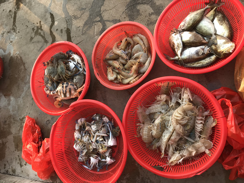 海南海口,三亚6日游吃南海海鲜