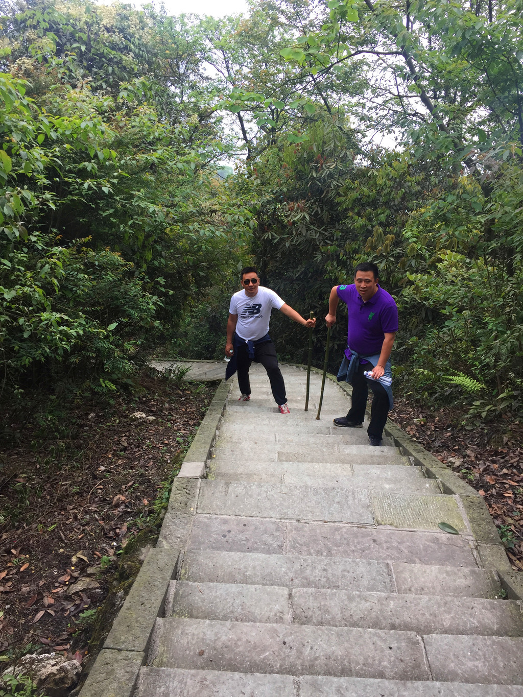 端午节爬山旅游推荐 l 最节约峨眉山旅游,带你走不一样的路