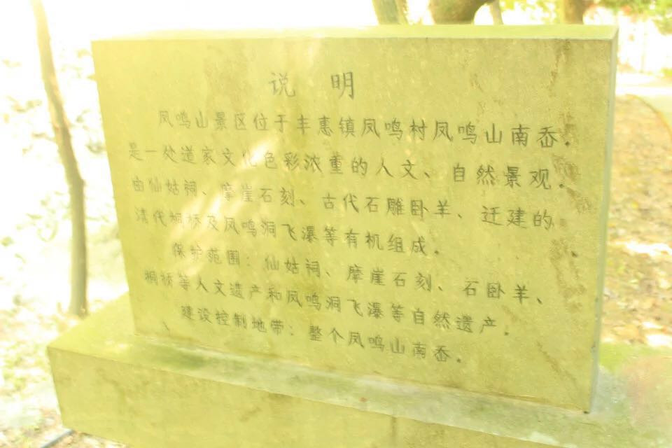 上虞中华孝德园,龙山公园,凤鸣山景区,杭州湾海上花田之游