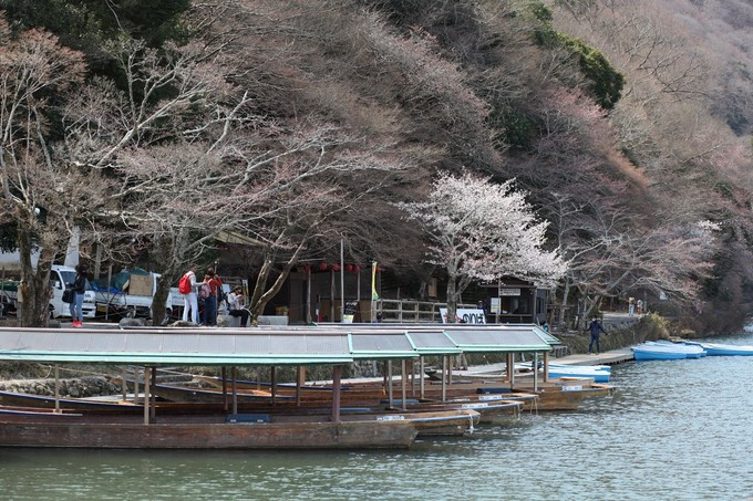 渡月桥风景区