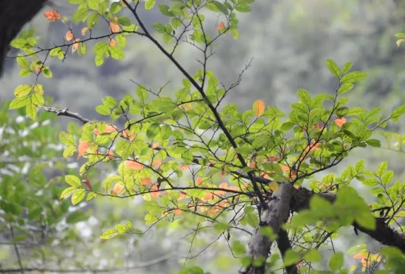 趁秋天阳光正好,我们在醉山野遇见了最美的风景!