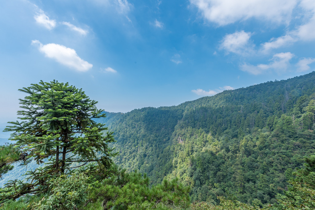 四面峰是个景色绝佳处,周围都是山谷,视野开阔,坐在小亭子里,凉风自来