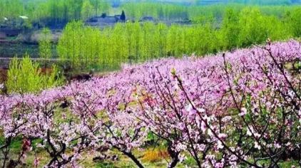 桃花岛风景区