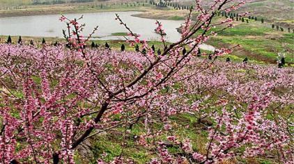 桃花岛风景区