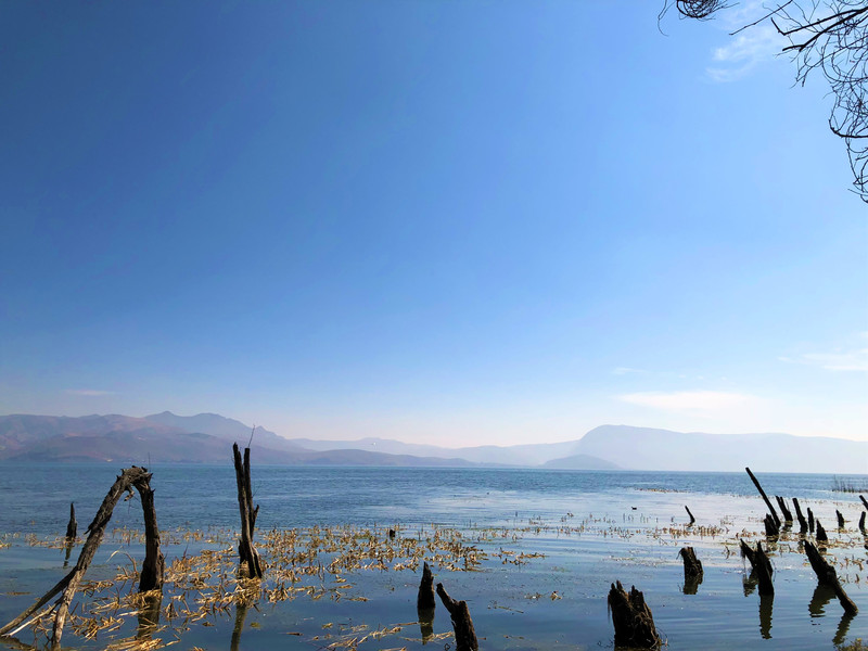 洱海沿线风景