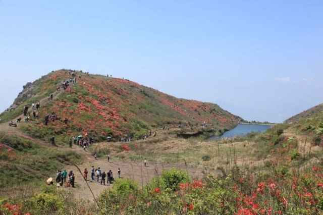 新余百丈峰森林公园攻略,新余百丈峰森林公园门票/游玩攻略/地址/图片