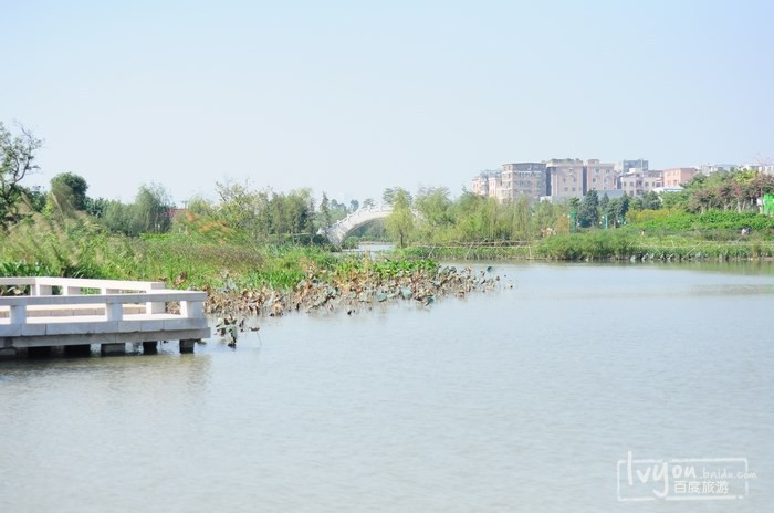 这边是石榴湾湿地,石榴湾湿地是示范区的主要景区之一,包括了花洲