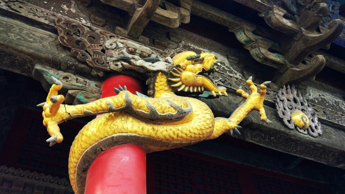 九爪龙 携程网