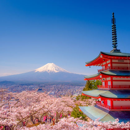 日本东京富士山+河口湖+山中湖一日游