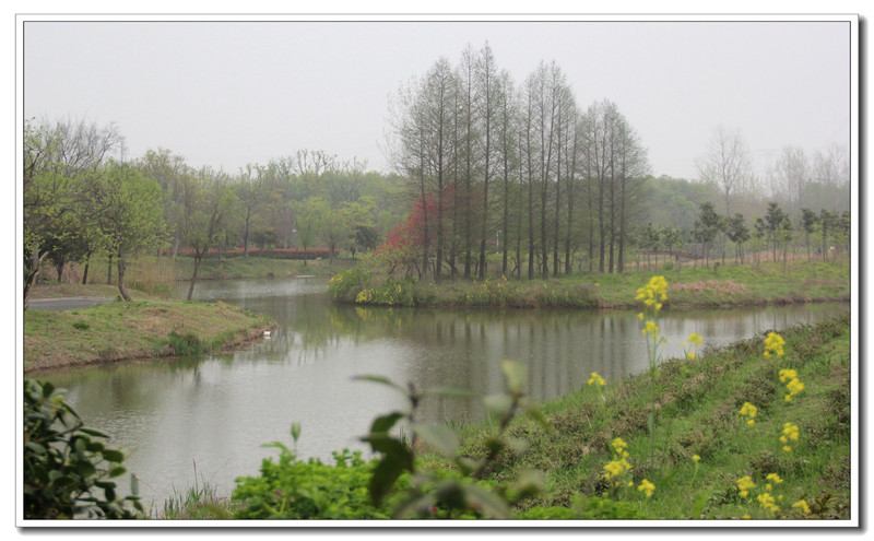 扬子郊野公园