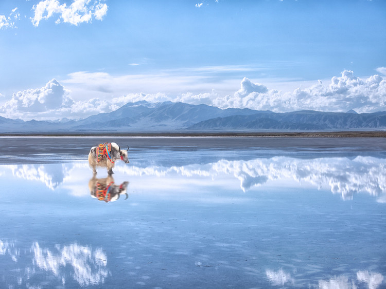 大西北青海湖|敦煌大环线7日游,毕业季,最美的旅行留给自己