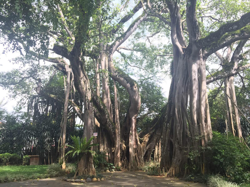 滇西边境之旅:保山芒市瑞丽畹町