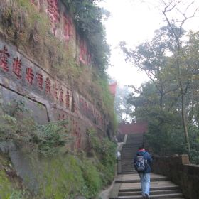 乐山大佛碑刻门票,乐山乐山大佛碑刻攻略/地址/图片/门票价格【携程