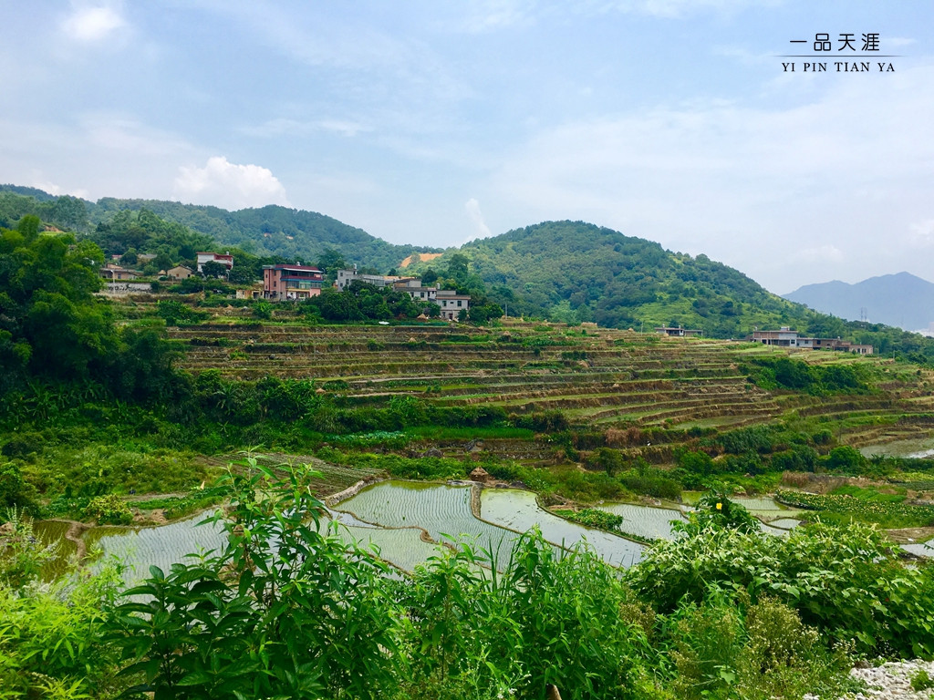 安溪路英村:藏在深闺人未识的大美乡村